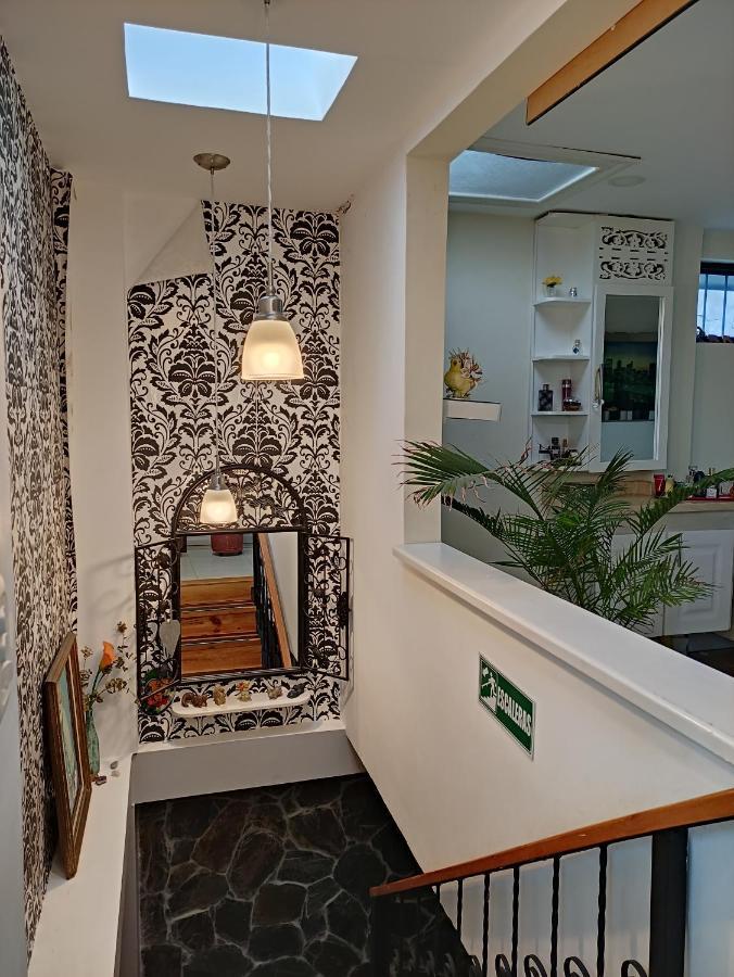 Los Andes Hostal Filandia Εξωτερικό φωτογραφία