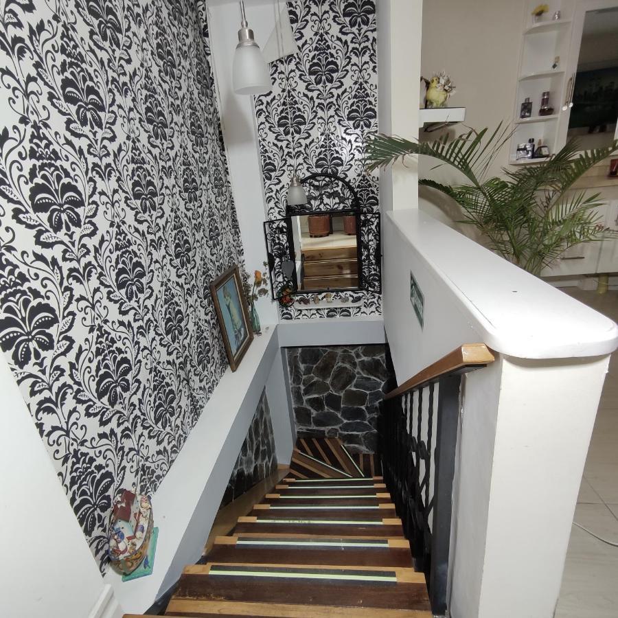 Los Andes Hostal Filandia Εξωτερικό φωτογραφία